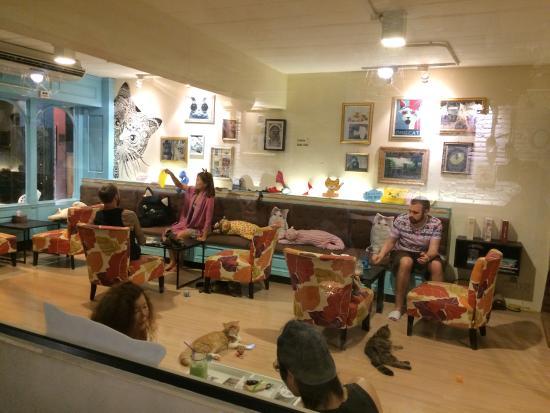 Black Cat Bar & Grill